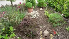 Im Vorgarten.webp