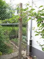 100_3266.webp