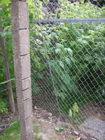 100_3267.webp
