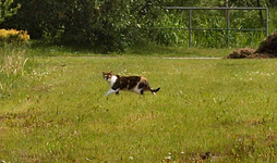 P5218718 ich geh mal lieber.webp