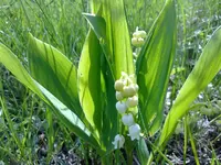 160520112635.webp