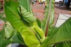 DSC02475.webp