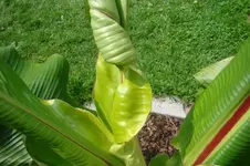 DSC02476.webp