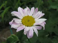 IMG_2748_1067x800.webp