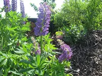 IMG_8879.webp