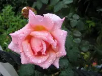tn_IMG_1747 v.webp