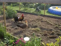 HPIM6454.webp