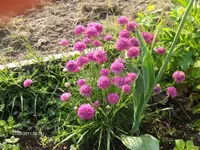 HPIM6442.webp