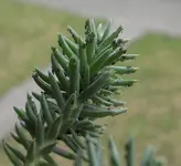 Zwischenablage02.webp