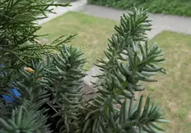 Zwischenablage01.webp