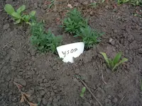 DSCF0055.webp