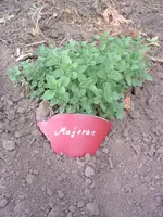 DSCF0056.webp