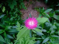 k-DSCF0042.webp