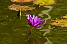 Botanische 22.5 40D (11 von 81).webp