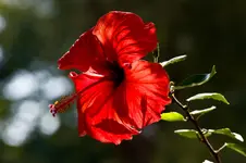 Botanische 22.5 40D (10 von 81).webp