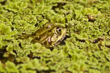 Botanische 22.5 550D (20 von 34).webp