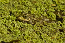 Botanische 22.5 550D (28 von 34).webp