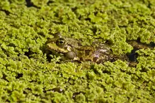 Botanische 22.5 550D (29 von 34).webp