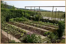 Gemüsegarten.webp