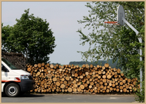 Holz.webp