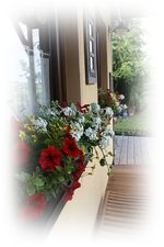Blumenkästen.webp