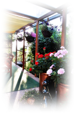 Terrasse.webp