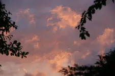 DSC05198.webp