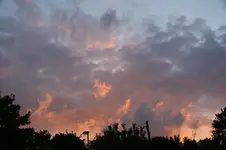 DSC05199.webp