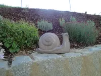 DSC01513.webp