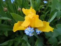 018.webp