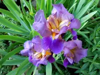 074.webp