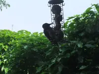 DSCF0124.webp