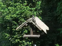 DSCF0125.webp