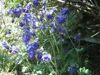 BILD0453.webp