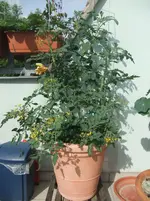 DSCF3045.webp