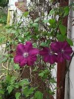 Bild 008.webp