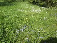 BILD0496.webp