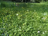 BILD0497.webp