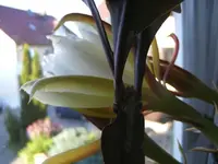 BILD0158.webp
