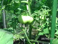 BILD5717.webp