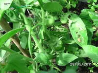BILD5721.webp