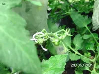 BILD5729.webp
