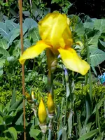 SDC13650.webp