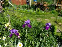 SDC13658.webp
