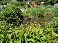 SDC13666.webp
