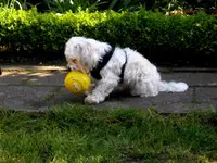 SDC13668.webp