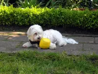 SDC13670.webp