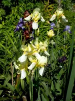 SDC13656.webp