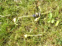 DSCF4620.webp