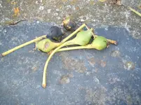 DSCF4621.webp